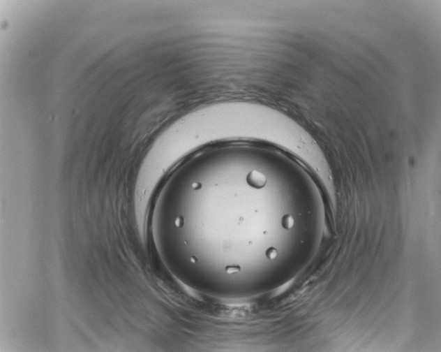 X0000061150080200511211012