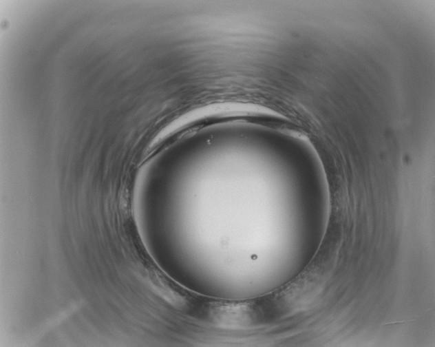 X0000061150081200511211012