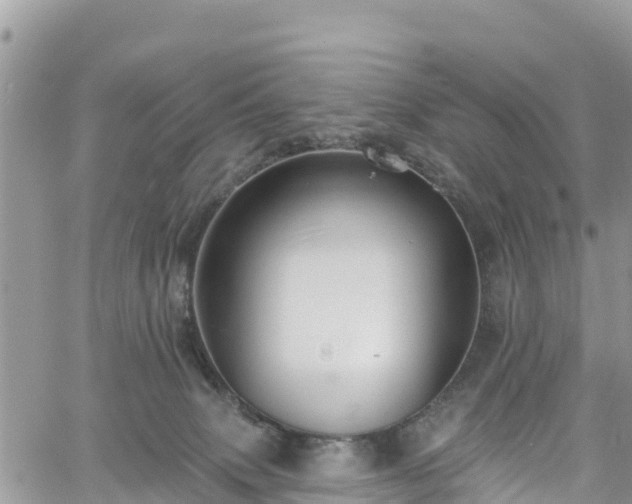 X0000061150083200511211013