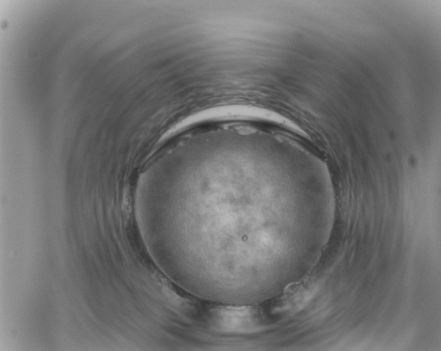 X0000061150085200511211013