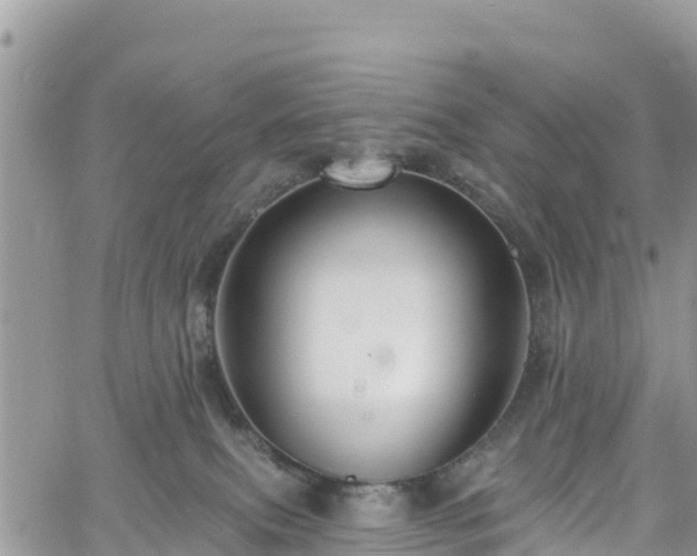 X0000061150087200511211013