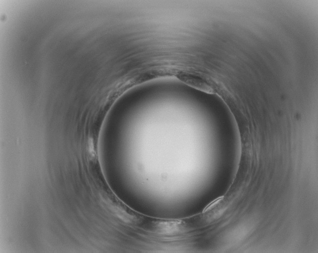 X0000061150089200511211013