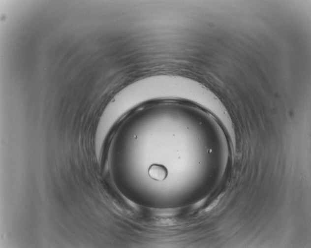 X0000061150091200511211013