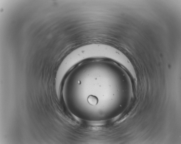 X0000061150092200511211013