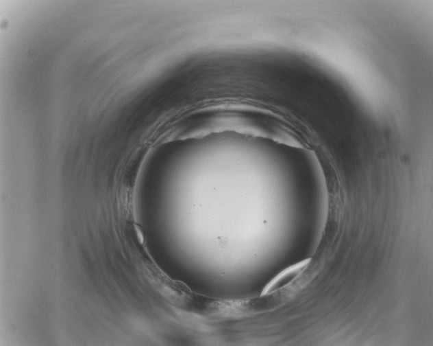 X0000061150093200511211013