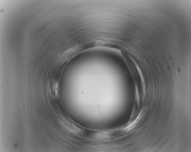 X0000061150094200511211013