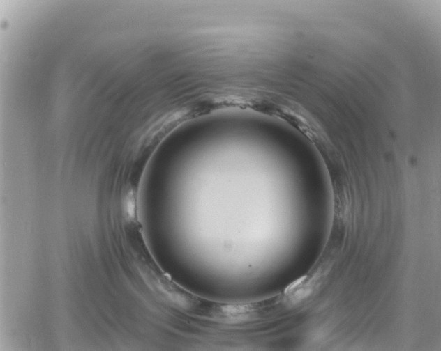 X0000061150095200511211013