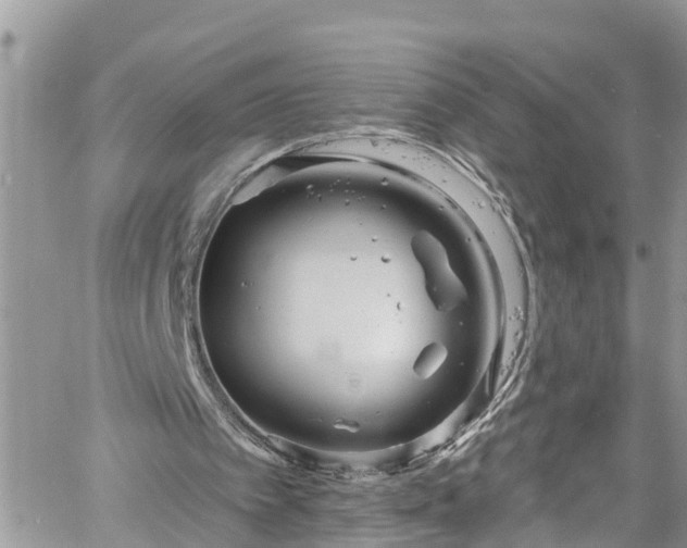 X0000061150097200511211012