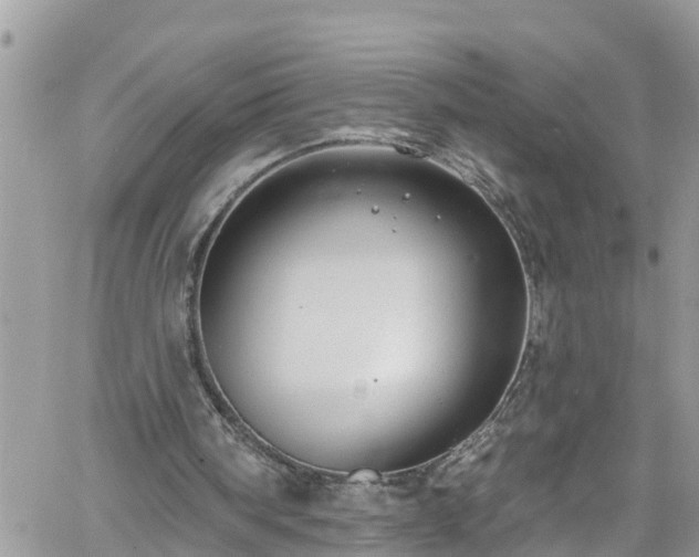 X0000061150098200511211012