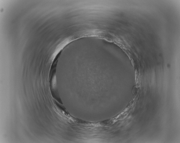 X0000061150099200511211012