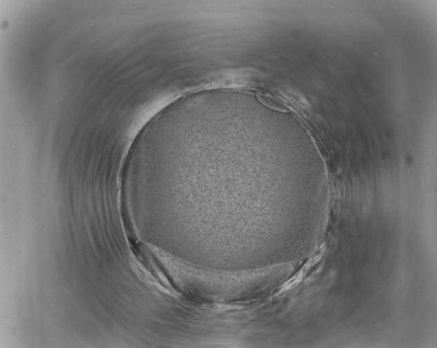 X0000061150100200511211012