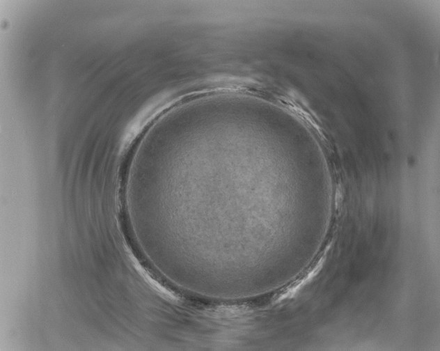 X0000061150101200511211012