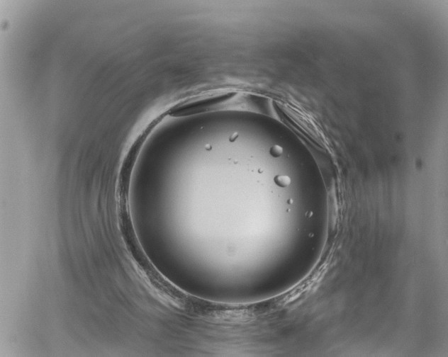 X0000061150102200511211012