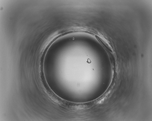 X0000061150103200511211012