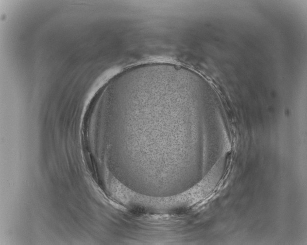 X0000061150104200511211012