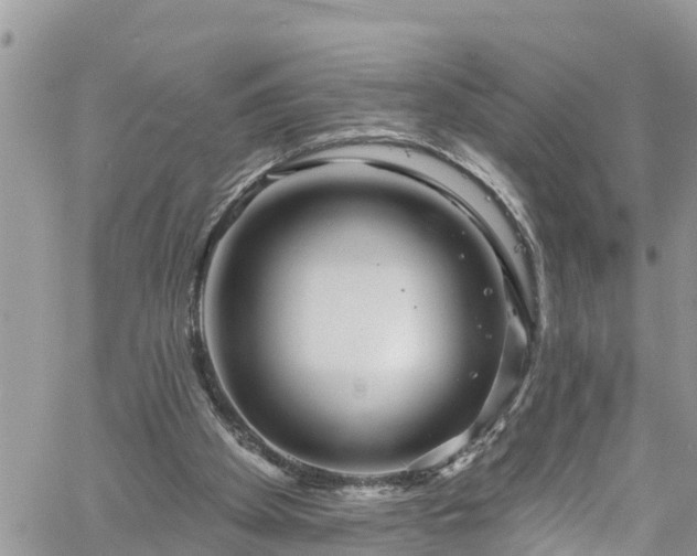 X0000061150105200511211012