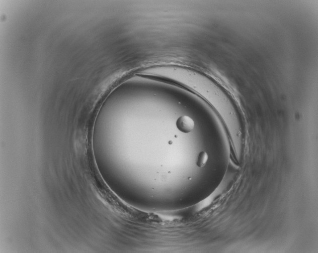 X0000061150107200511211012