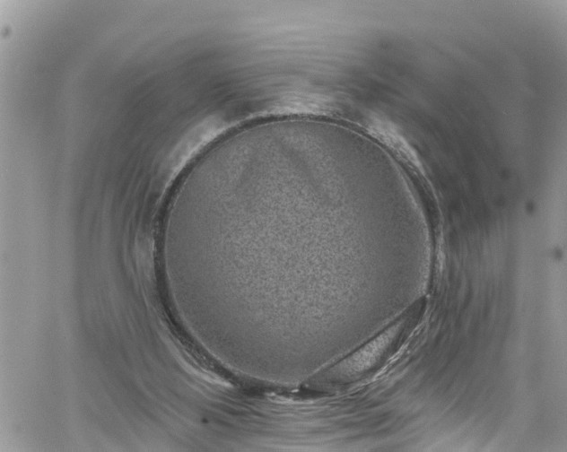 X0000061150108200511211012