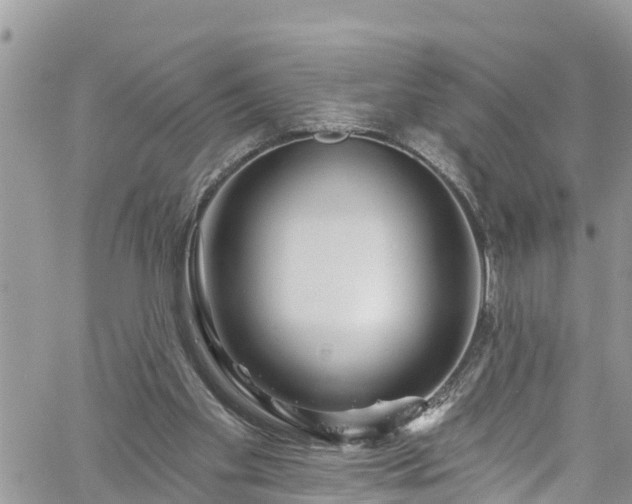 X0000061150109200511211012