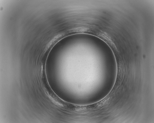 X0000061150110200511211012