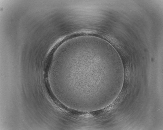 X0000061150112200511211012