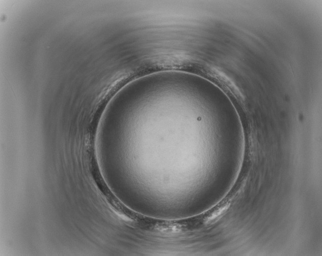 X0000061150113200511211012