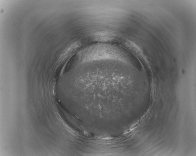 X0000061150114200511211012