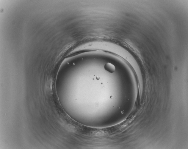 X0000061150115200511211012