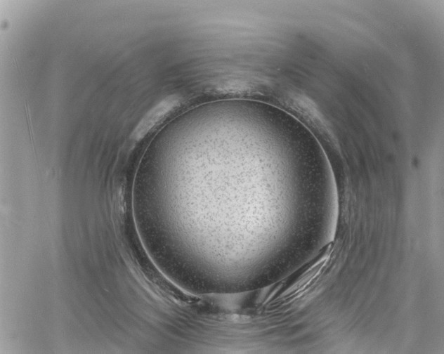 X0000061150116200511211012