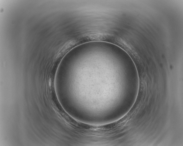 X0000061150117200511211012