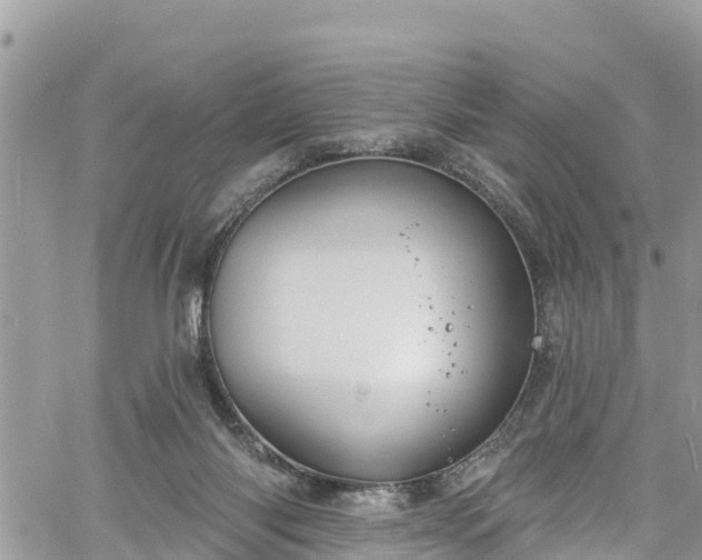 X0000061150118200511211012