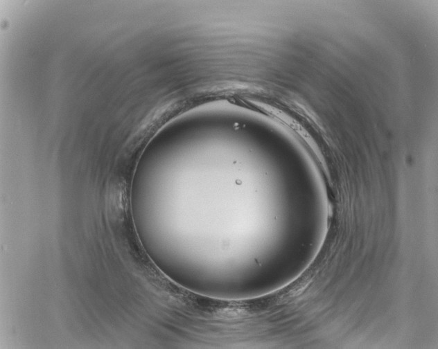 X0000061150119200511211012