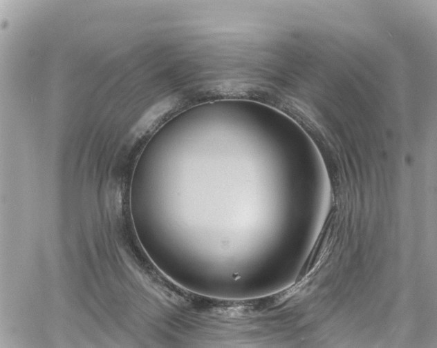 X0000061150120200511211012