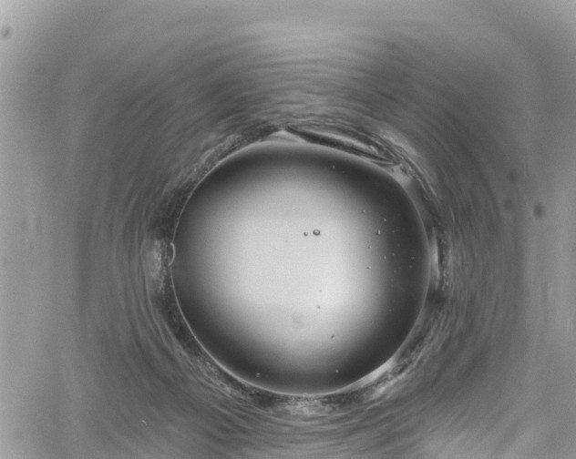 X0000061150121200511211012