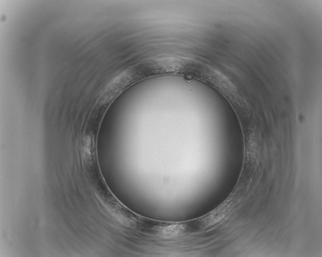 X0000061150122200511211012