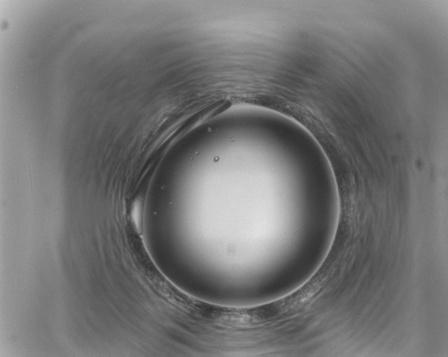 X0000061150123200511211011