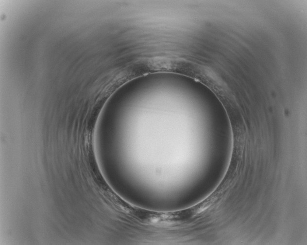 X0000061150125200511211011