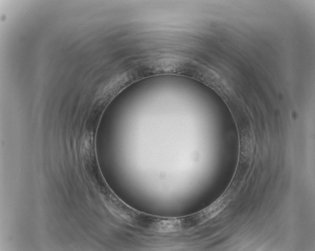 X0000061150126200511211011