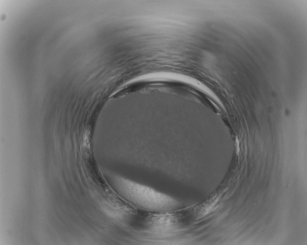 X0000061150127200511211011