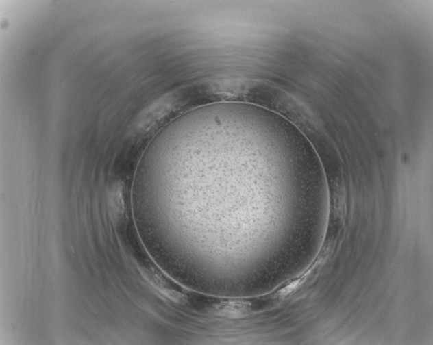 X0000061150128200511211011