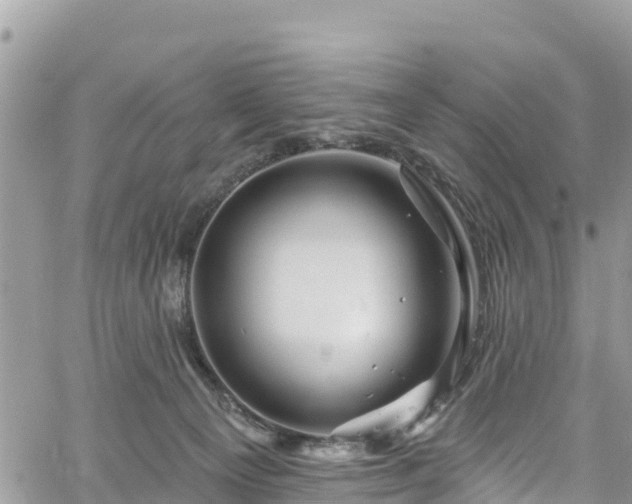 X0000061150129200511211011