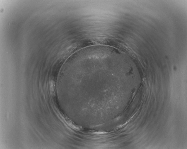 X0000061150130200511211011