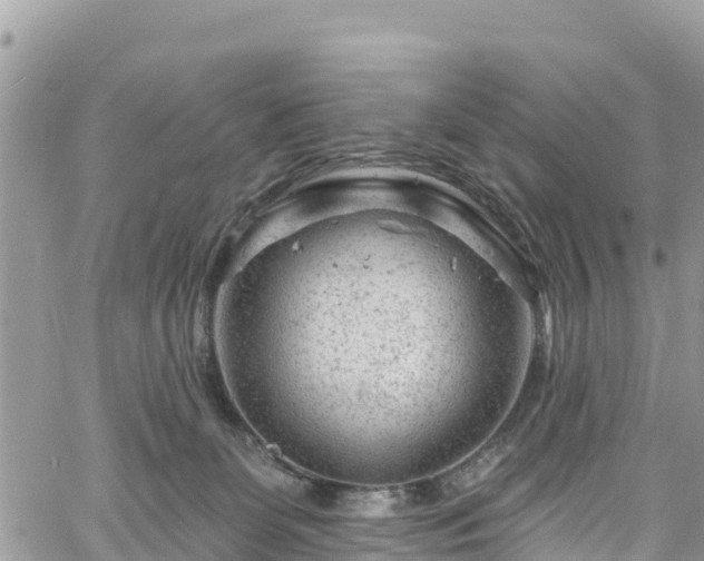 X0000061150131200511211011