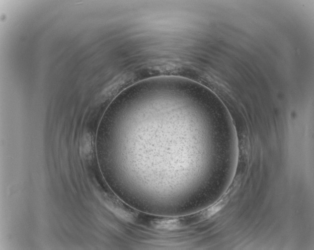 X0000061150132200511211011