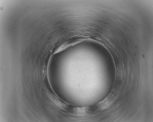 X0000061150134200511211011