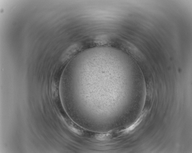 X0000061150136200511211011