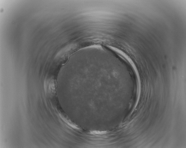 X0000061150137200511211011