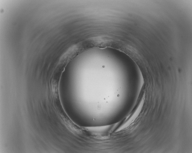 X0000061150138200511211011