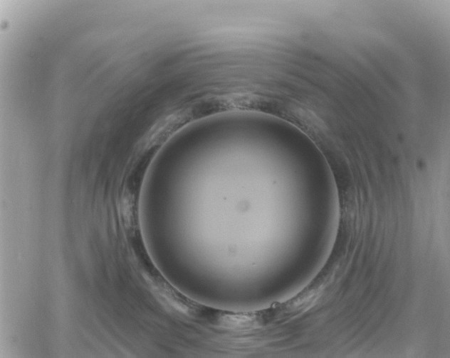 X0000061150139200511211011