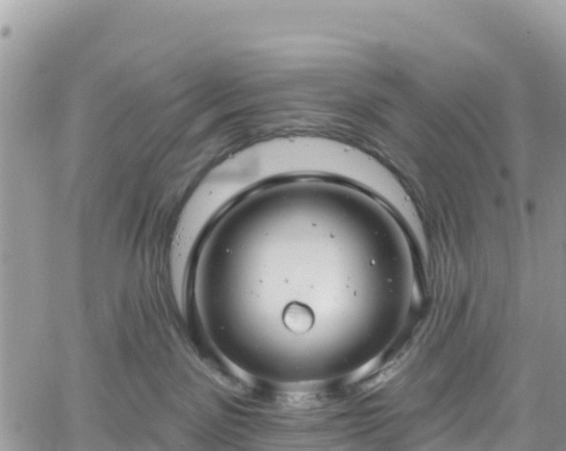 X0000061150141200511211011